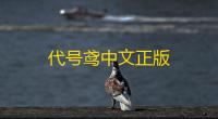 代号鸢中文正版